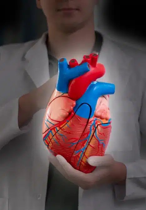 nitric oxide N1O1 nitric oxide cardiovascular heart health