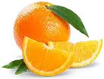 essential vitamins and nutrients