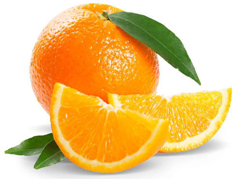 essential vitamins and nutrients