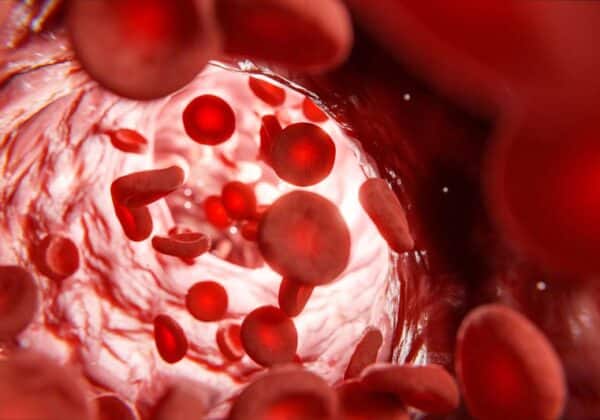 Blood Circulation Nitric Oxcide