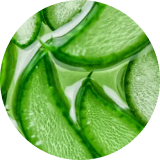 N1O1 aloe vera nitric oxide