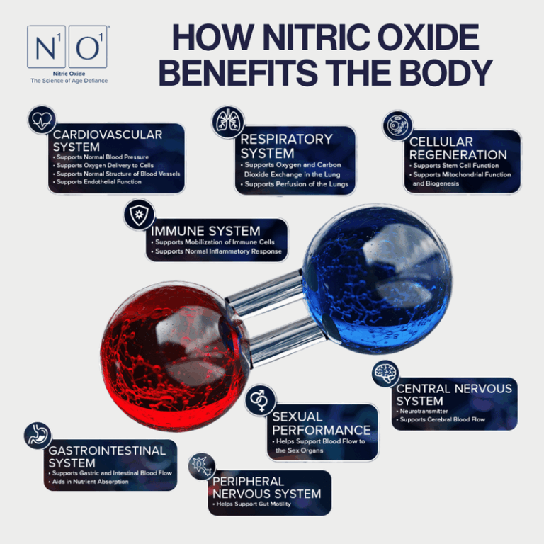 N1O1 nitric oxide nitric oxide nitric oxide signaling molecule