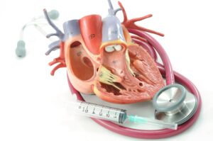 Nitric Oxide and Heart Health