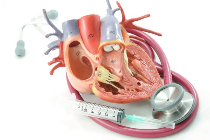 Nitric Oxide and Heart Health